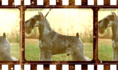 16603158_10154082250007085_6132350404639392722_n